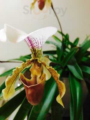 Padaria E Confeitaria Valparaiso