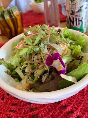 Yvy Café E Cozinha Criativa