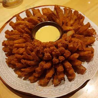 Outback Steakhouse - Shopping Nova América