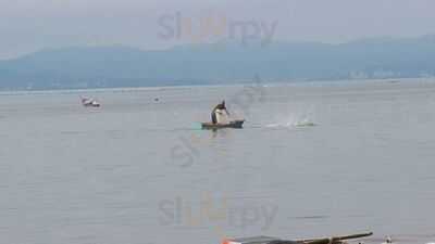 Restaurante Prato Principal