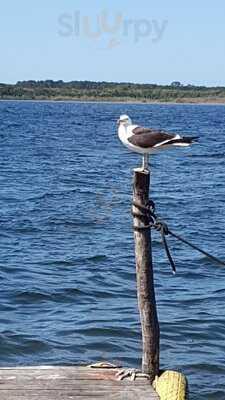 Pousada E Restaurante Bela Ilha