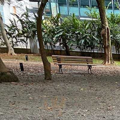 Restaurante Santinho