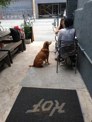 Kof - King Of The Fork