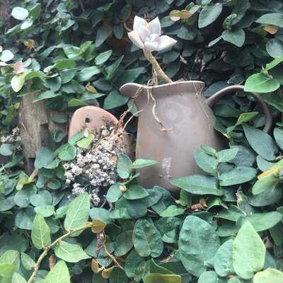 Fada Formiga Doçaria Artesanal