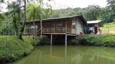 Carlota Da Roça Restautante Rural