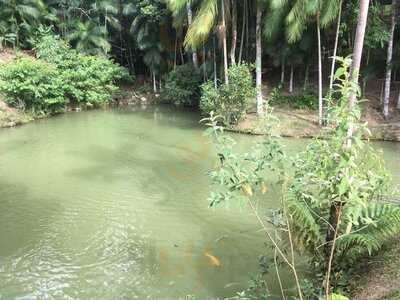 Carlota Da Roça Restautante Rural