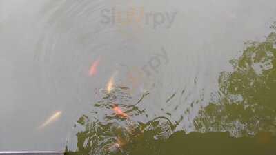 Carlota Da Roça Restautante Rural