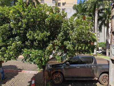 Brasserie Brickell Key