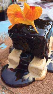 Elo Tradicional & Contemporâneo