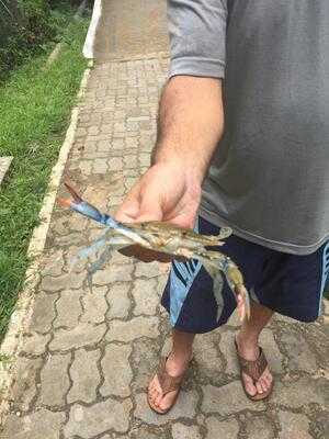 Bar E Restaurante Recanto Da Natureza