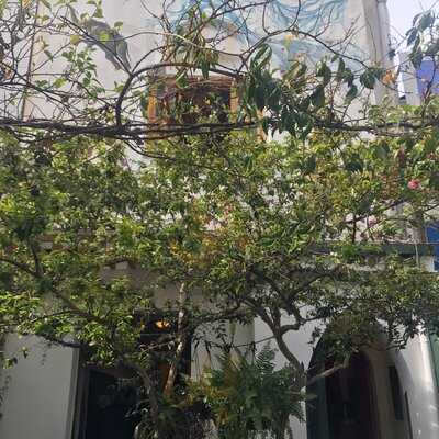 Maha Mantra Culinária Orgânica