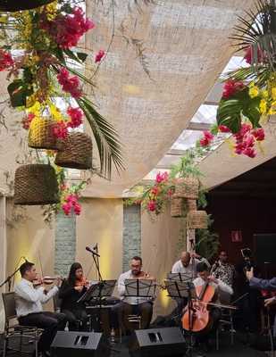 Absolutto Bar E Gastronomia