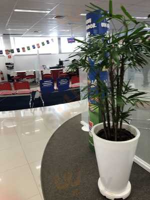 Demarchi Express - Sbc