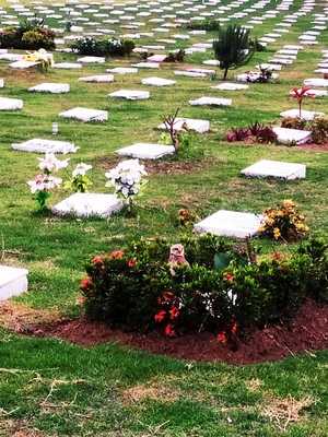 Lanchonete Parque Da Paz