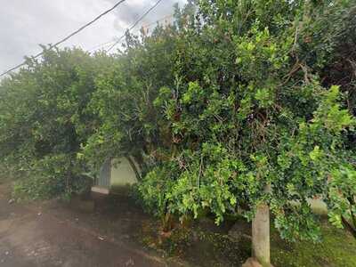 Pizzaria E Spaguette Sabor Mania