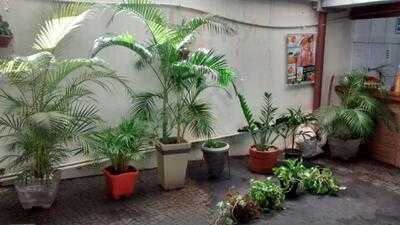 Scenari1 Bar E Restaurante