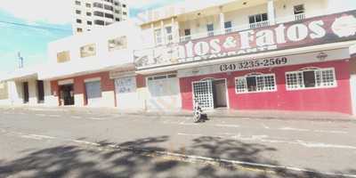 Escarole Self-service 