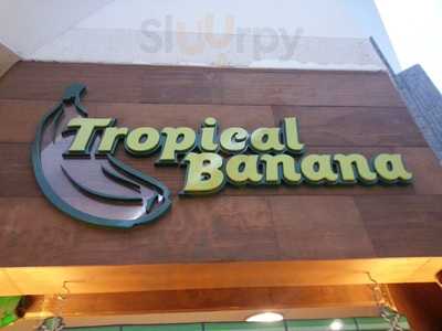 Tropical Banana