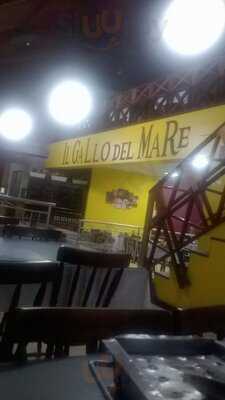 Il Galo Del Mare