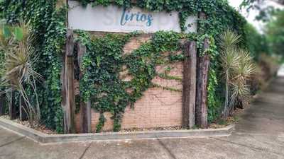 Lírios Bistrô E Café