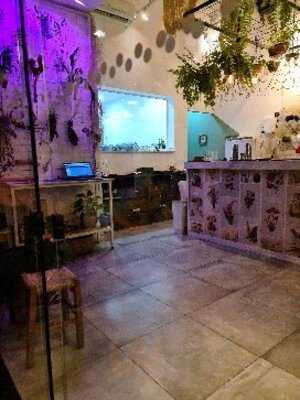 Botânico Colheita Criativa