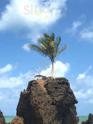 Restaurante Joao Pessoa