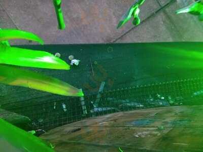 Treehouse Bar Lounge