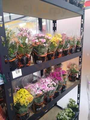 Terapia Do Coco E Milho