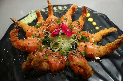 Lofty Sushi Bar Kobrasol