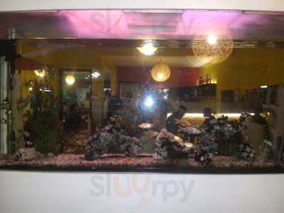 Pizzaria Boi Na Brasa