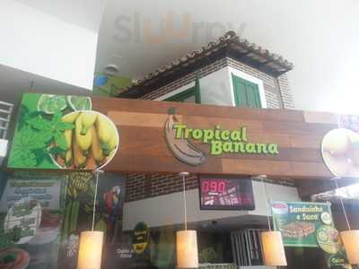 Tropical Banana