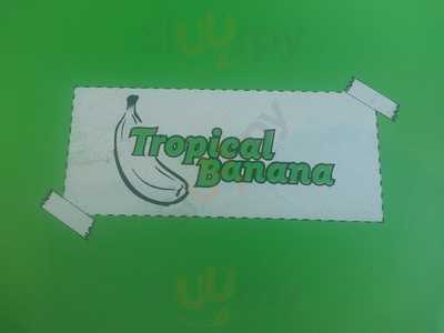 Tropical Banana