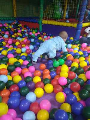 Cachorro Quente Do Roberto