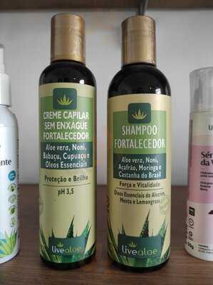 Nascente Um Gosto De Sol