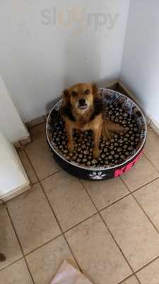 Restaurante E Self Service Tempero Mineiro