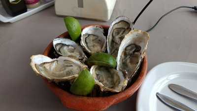 Ostras E Osrtras Coisas