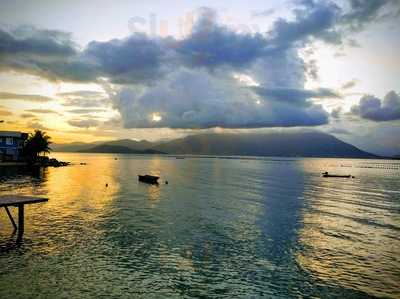 Ostras E Osrtras Coisas