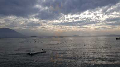 Ostras E Osrtras Coisas