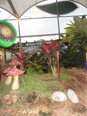 Ceres Azevedo Café & Cia