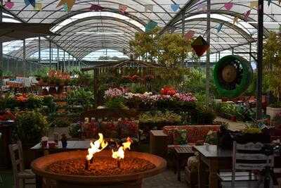 Ceres Azevedo Café & Cia