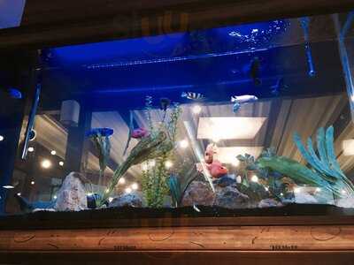 Manza Sushi Bar São Caetano