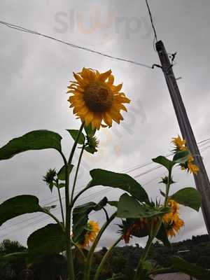 Ivaldo's Hamburgueria