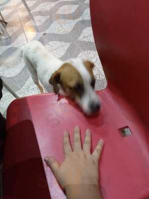 Coyote - Sucos E Sanduiches