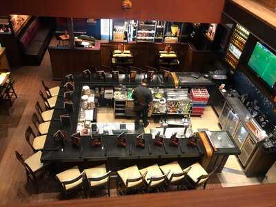 Outback Steakhouse - Moema