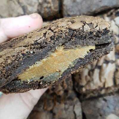 Epifania Confeitaria