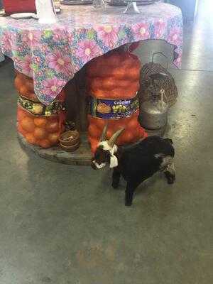 Self Service Cantinho Nordestino