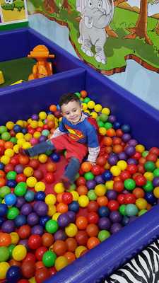 Buffet Zoo Mania De Alegria