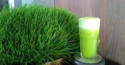 Vilarejo Natural Do Suco