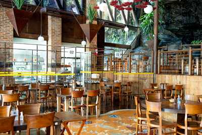 Lanchonete E Frangolandia Jm