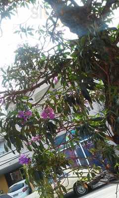 Restaurante Árabe Adam & Hawa